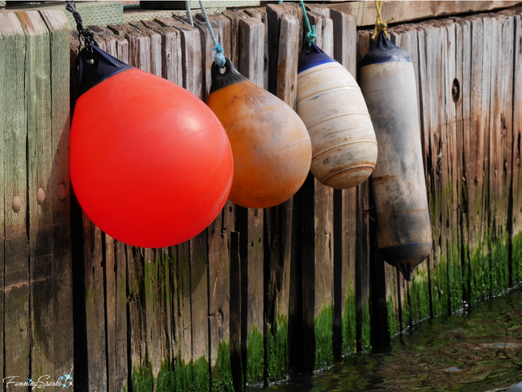Buoys and Bumpers Along Wharf in North Rustico  @FanningSparks