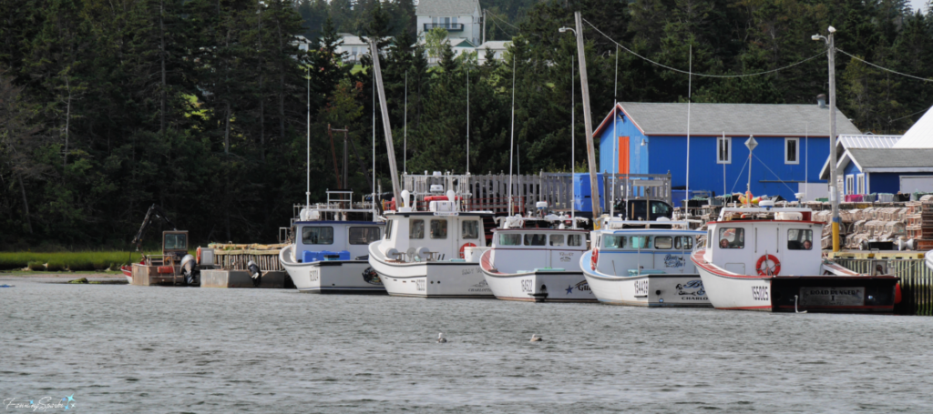 Fishing Boats Line North Rustico Wharf @FanningSparks