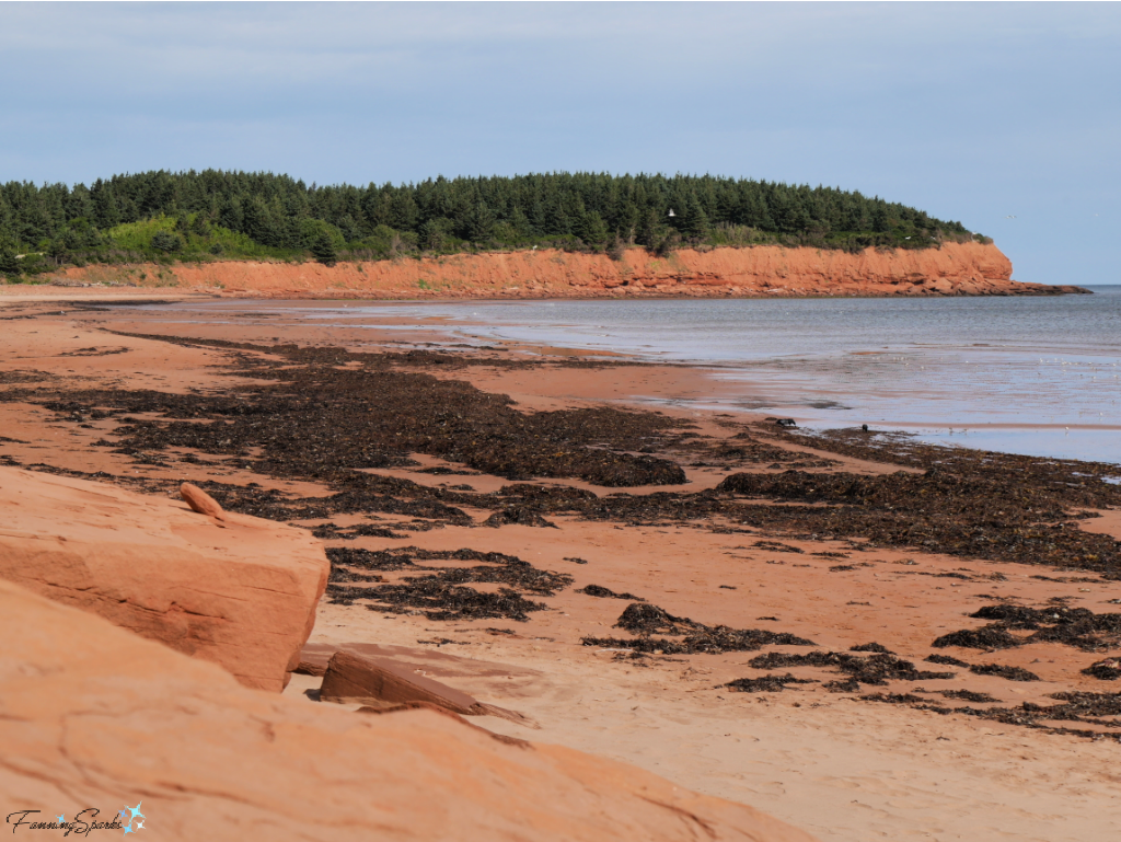 North Rustico Beach with Red Cliffs in Background   @FanningSparks