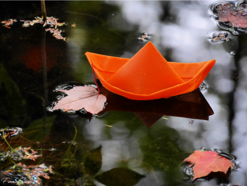 Orange Boat Floating with Autumn Leaves   @FanningSparks