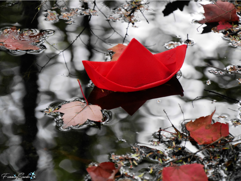 Red Boat Floating with Autumn Leaves   @FanningSparks