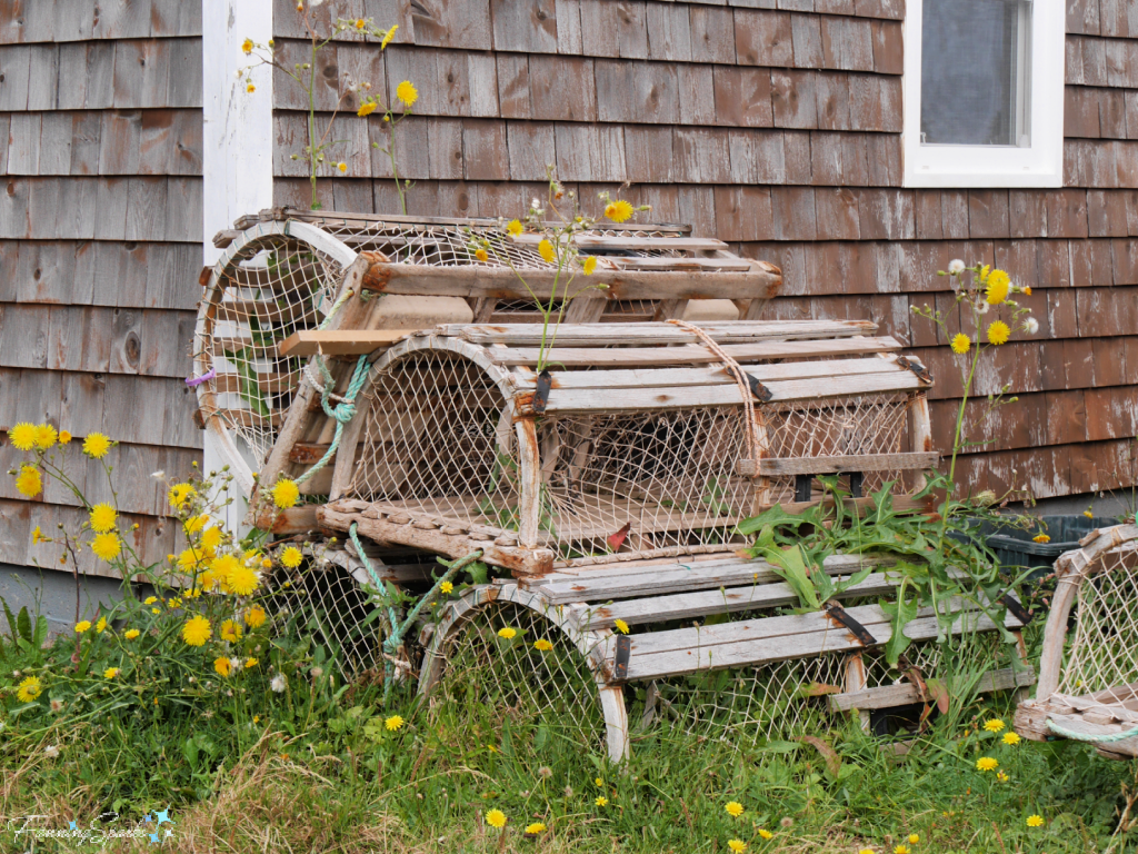 Stack of Lobster Traps with Yellow Wildflowers in North Rustico   @FanningSparks