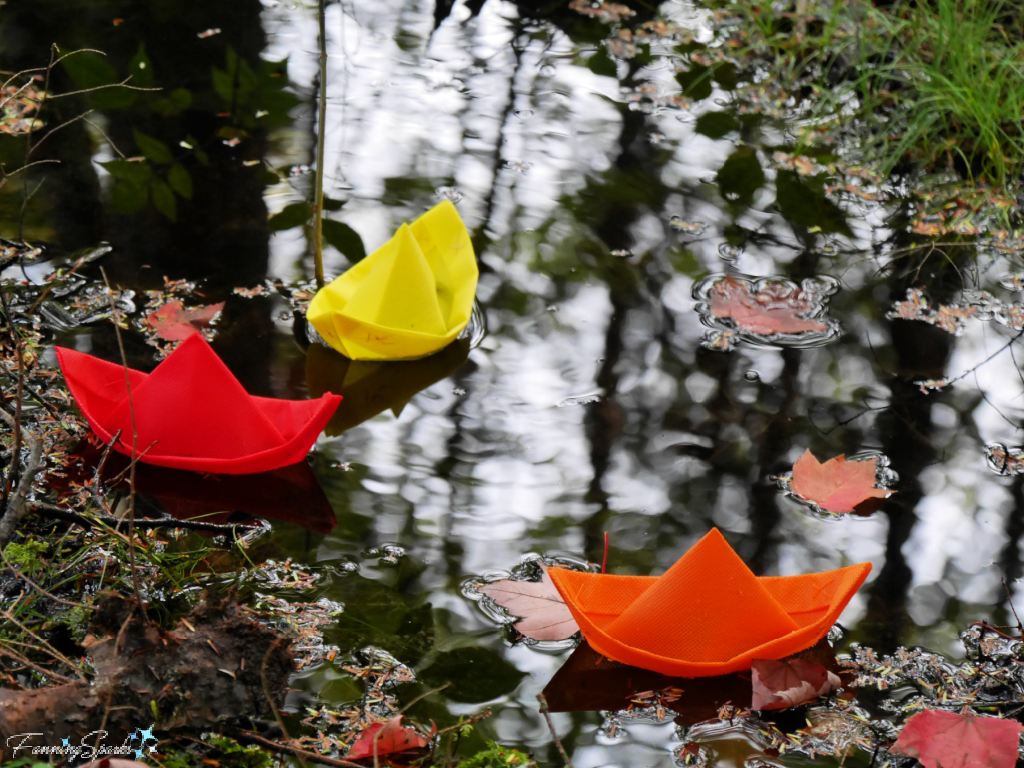 Trio of Floating Boats Amongst the Fallen Leaves   @FanningSparks