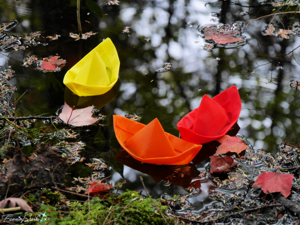 Trio of Floating Boats Amongst the Fallen Leaves   @FanningSparks