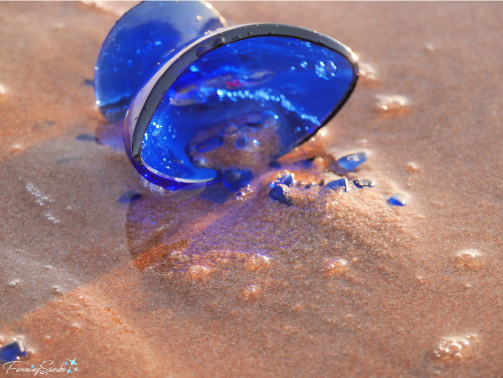 Ocean Blue Beach Glass