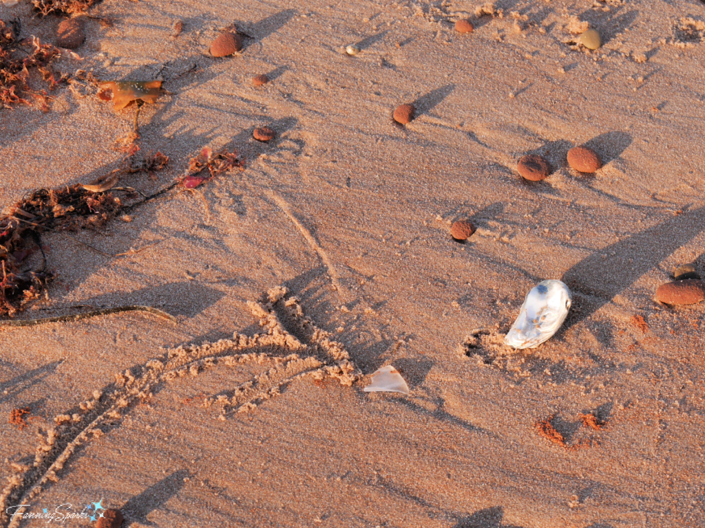 My First Sea Glass Gem Find   @FanningSparks