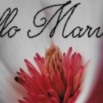 Hello Marvelous Photo Embroidery DIY Tutorial @FanningSparks