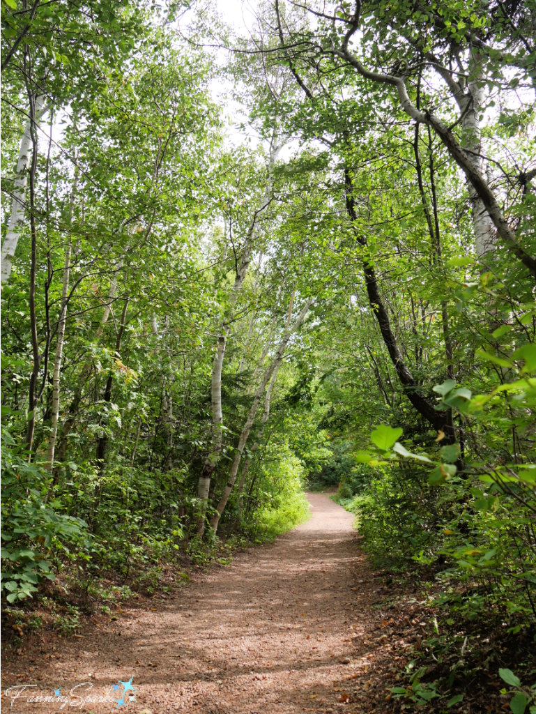 Lover’s Lane Wooded Path at Green Gables   @FanningSparks