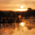 Sunrise Over Lake Oconee GA USA @FanningSparks