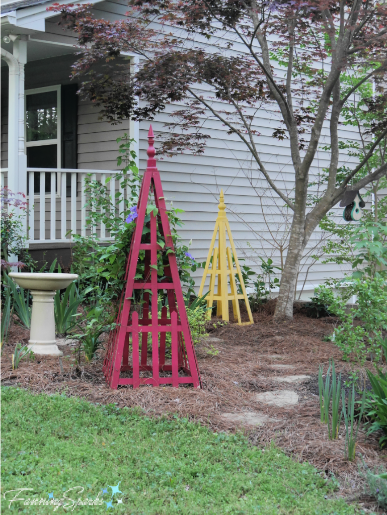 Magenta and Yellow Pyramid Trellises in Our Flower Garden   @FanningSparks