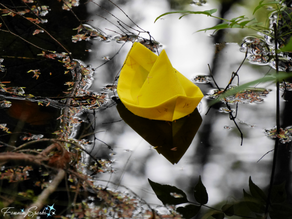 Yellow Floating Boat on Swampy Water   @FanningSparks