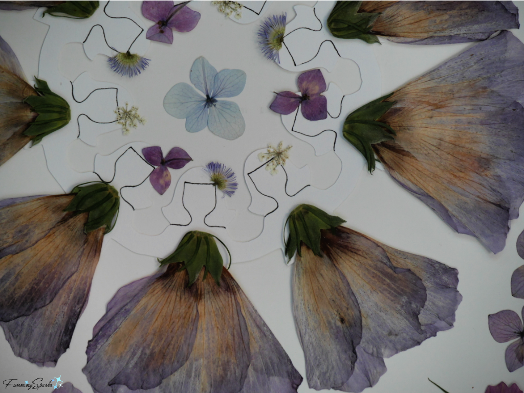 Arranging Pressed Flowers for Pressed Flower Girls Wall Art   @FanningSparks