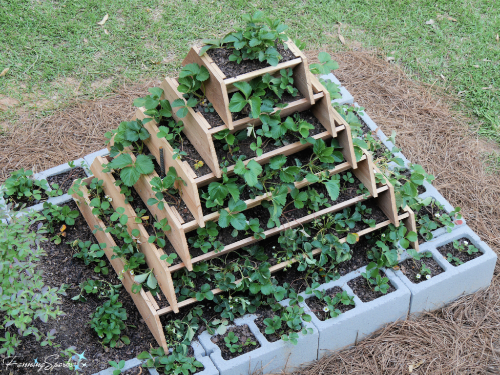 Strawberry Tower Planter – DIY Tutorial – FanningSparks