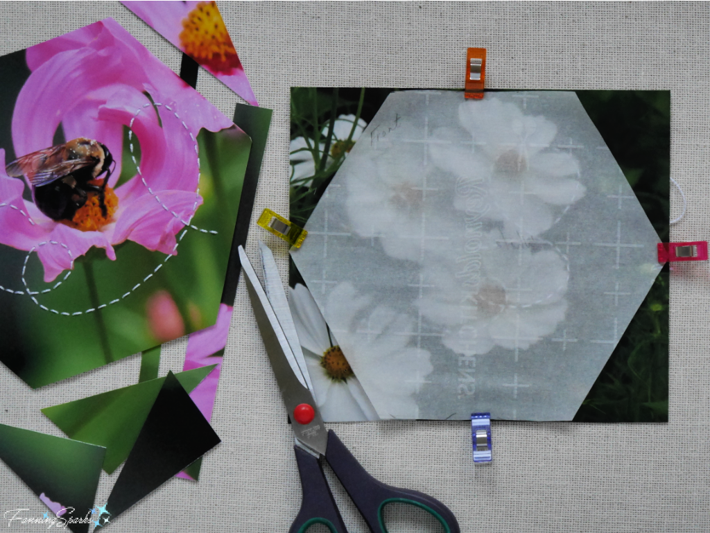 Cut Photo in Hexagon Shape for Bee in Cosmos OOAK Wall Hook   @FanningSparks