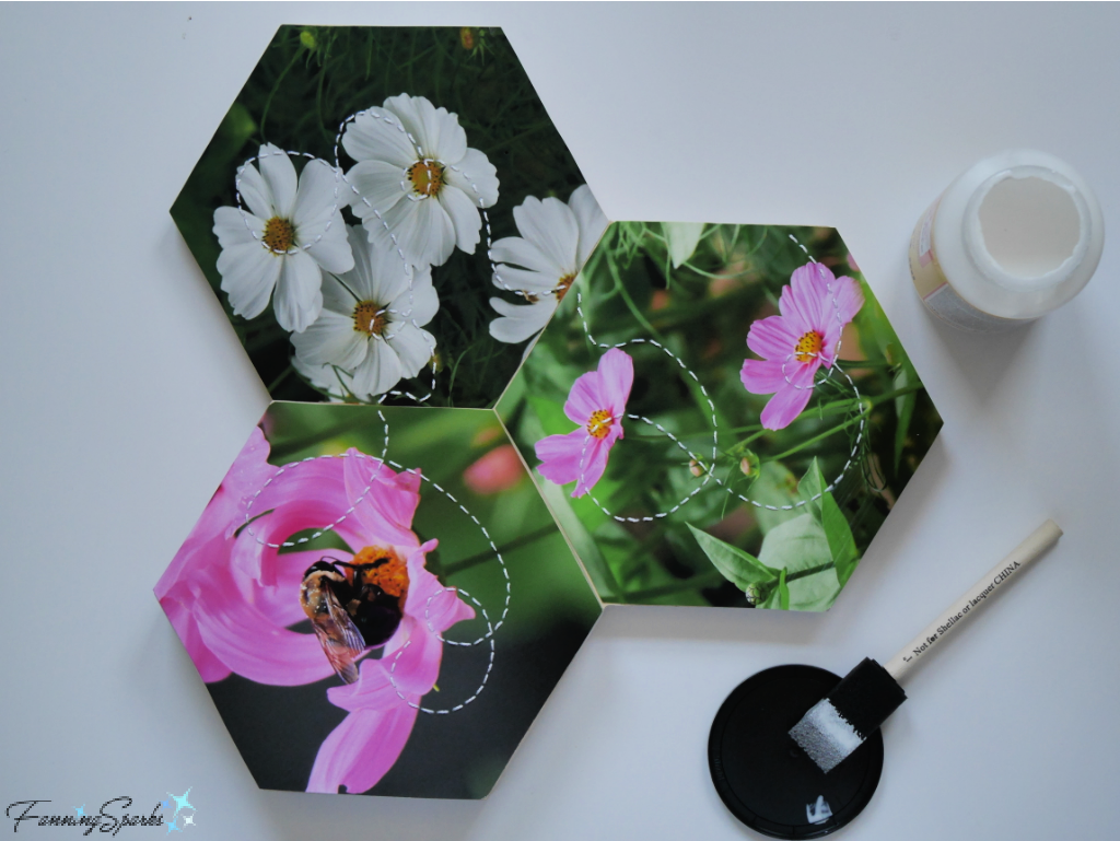 Glue Photos to Wooden Hexagons for Bee in Cosmos OOAK Wall Hook   @FanningSparks