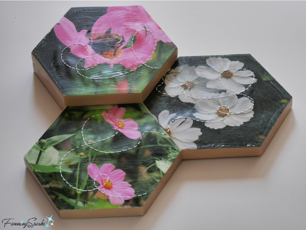 Seal Photos and Hexagons for Bee in Cosmos OOAK Wall Hook   @FanningSparks