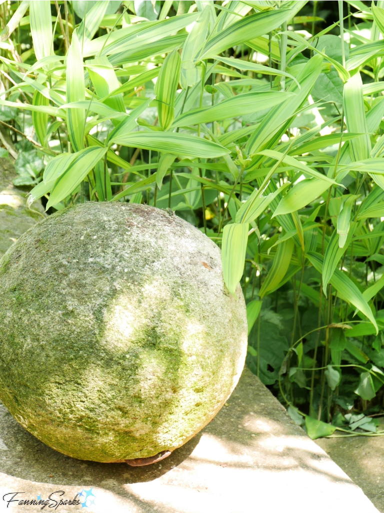 Stone Sphere in Front of Variegated Bamboo in Private Garden   @FanningSparks