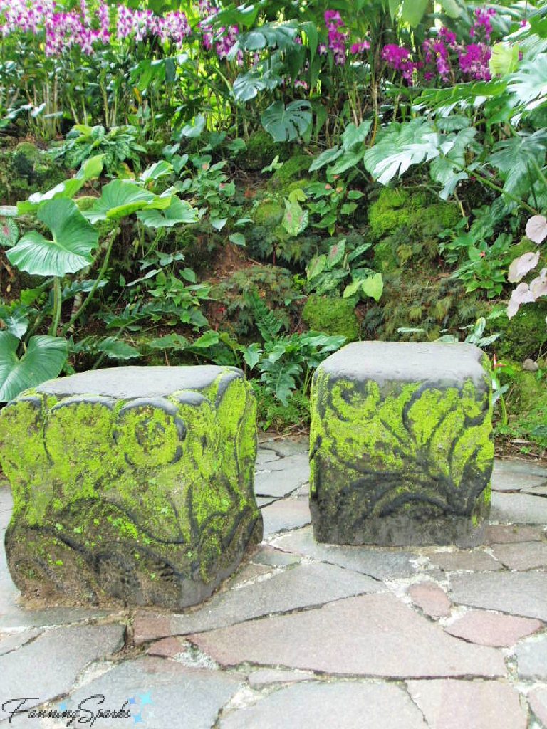 Moss-Covered Stone Garden Stools in Singapore Botanic Gardens   @FanningSparks