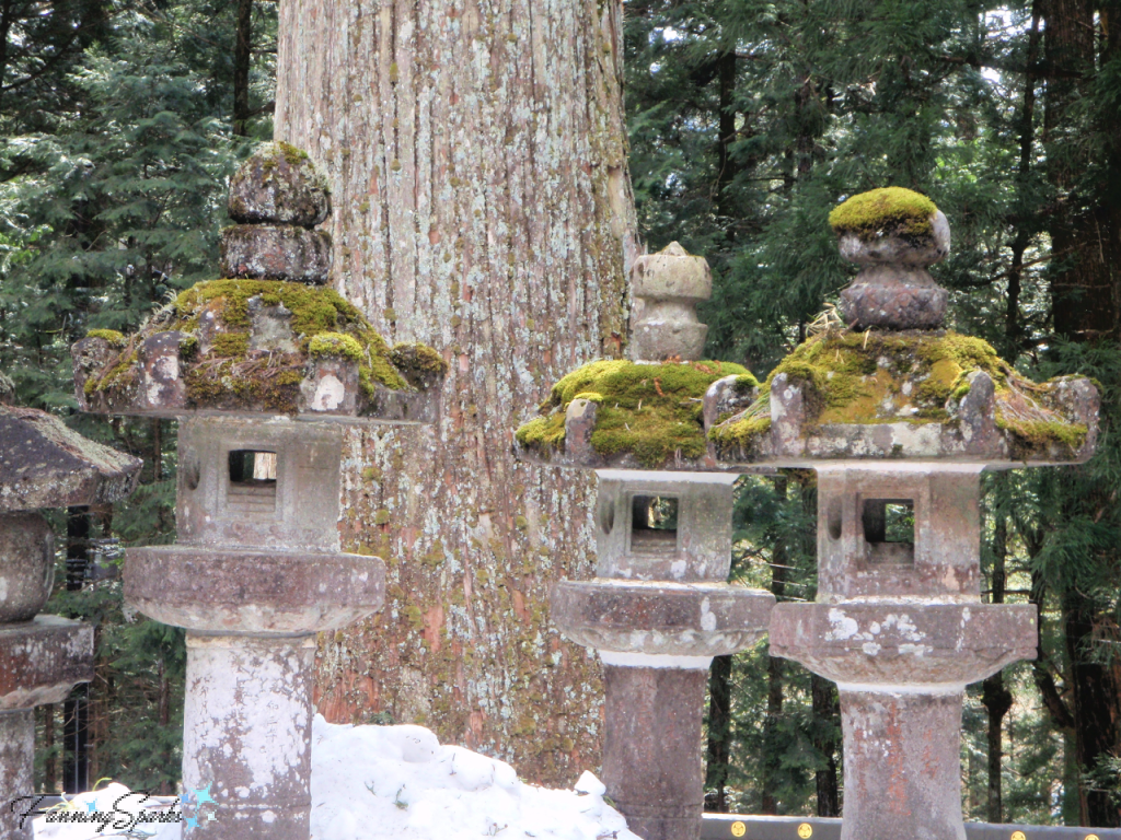 Moss-Covered Stone Lanterns in Nikko   @FanningSparks