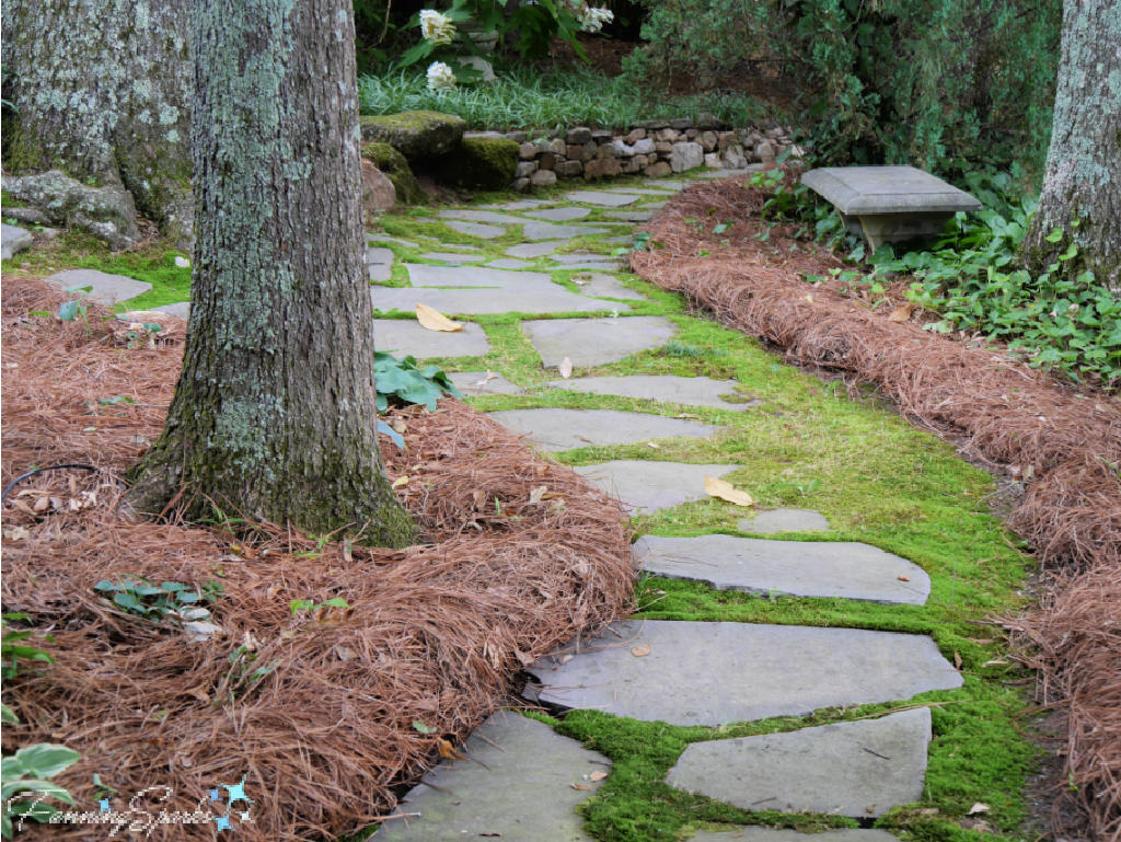 Stone Path in Bed of Moss   @FanningSparks