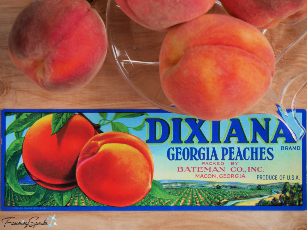 Dixiana Georgia Peaches Crate Label   @FanningSparks