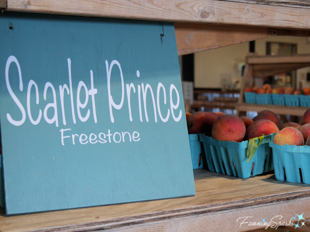 Scarlet Prince Peaches in Country Store   @FanningSparks
