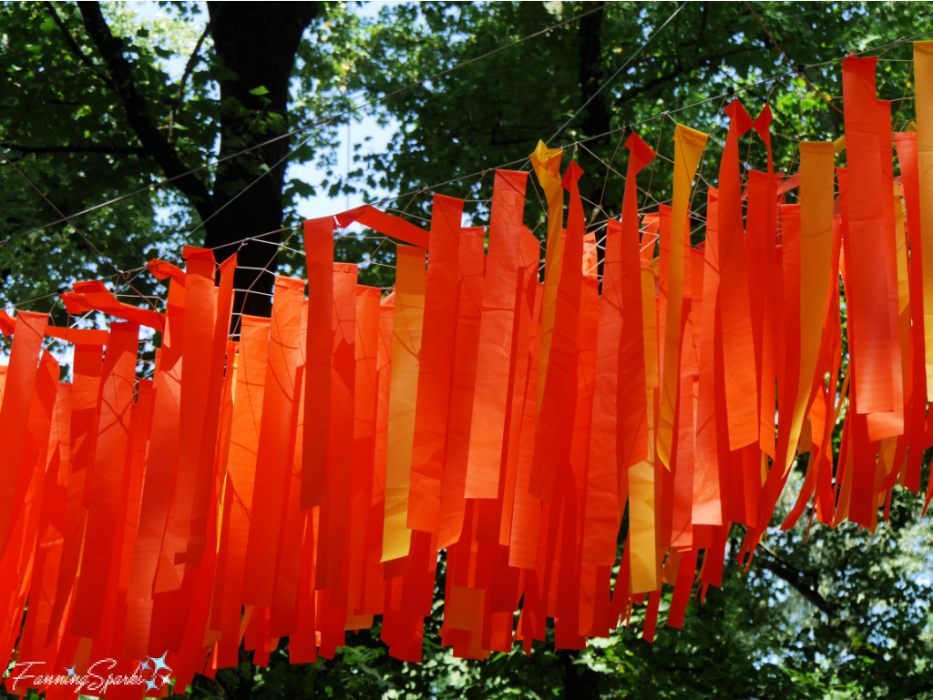 Dream Flora Skynet - Orange Streamers in Sunlight    @FanningSparks