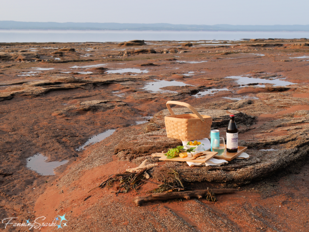 Picnic Laid Out on Ocean Floor at Burntcoat Head  NS   @FanningSparks 