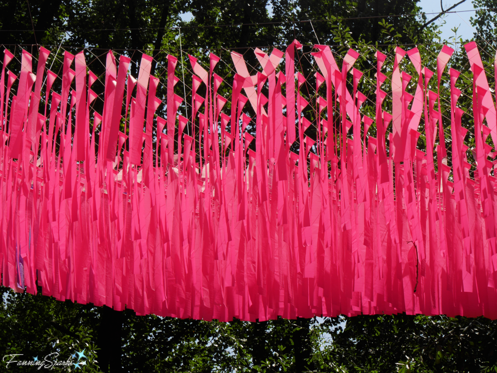 Dream Flora Skynet - Pink Streamers in Sunlight    @FanningSparks