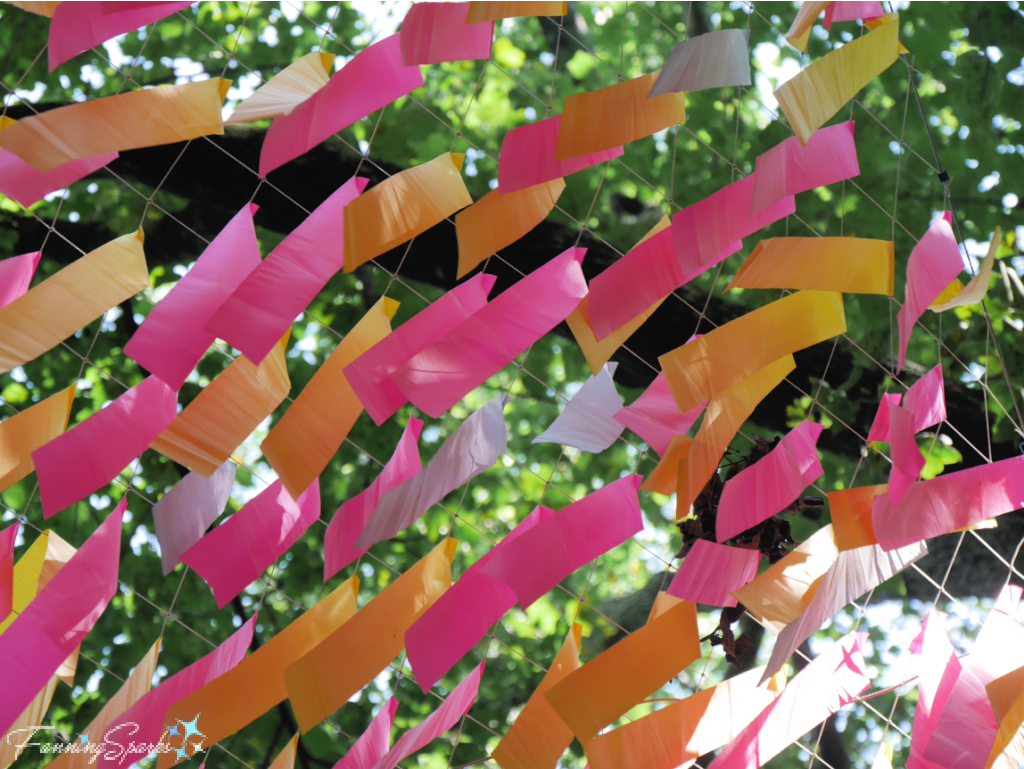 Dream Flora Skynet - Pink and Orange Streamers from Below    @FanningSparks