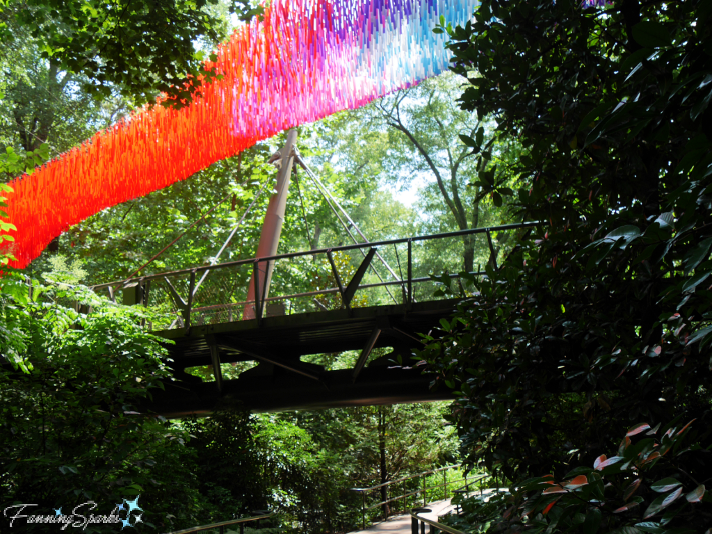 Dream Flora Skynet - Over Kendeda Canopy Walk Bridge    @FanningSparks