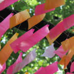 Dream Flora Skynet - Pink and Orange Streamers from Below @FanningSparks
