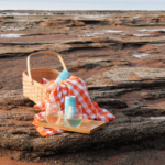 White Wine with Basket on Ocean Floor at Burntcoat Head NS @FanningSparks