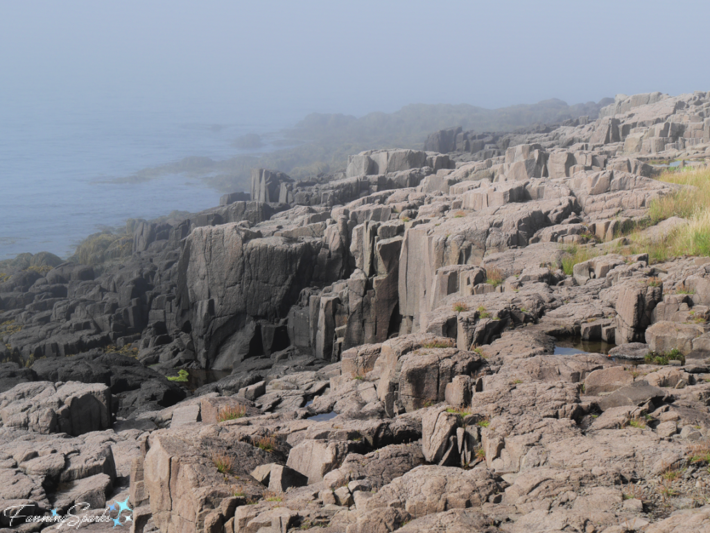 Brier Island Nova Scotia Along Seal Cove Trail in Fog   @FanningSparks