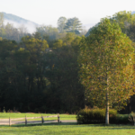Mountain View Over Brasstown Road at the John C Campbell Folk School @FanningSparks