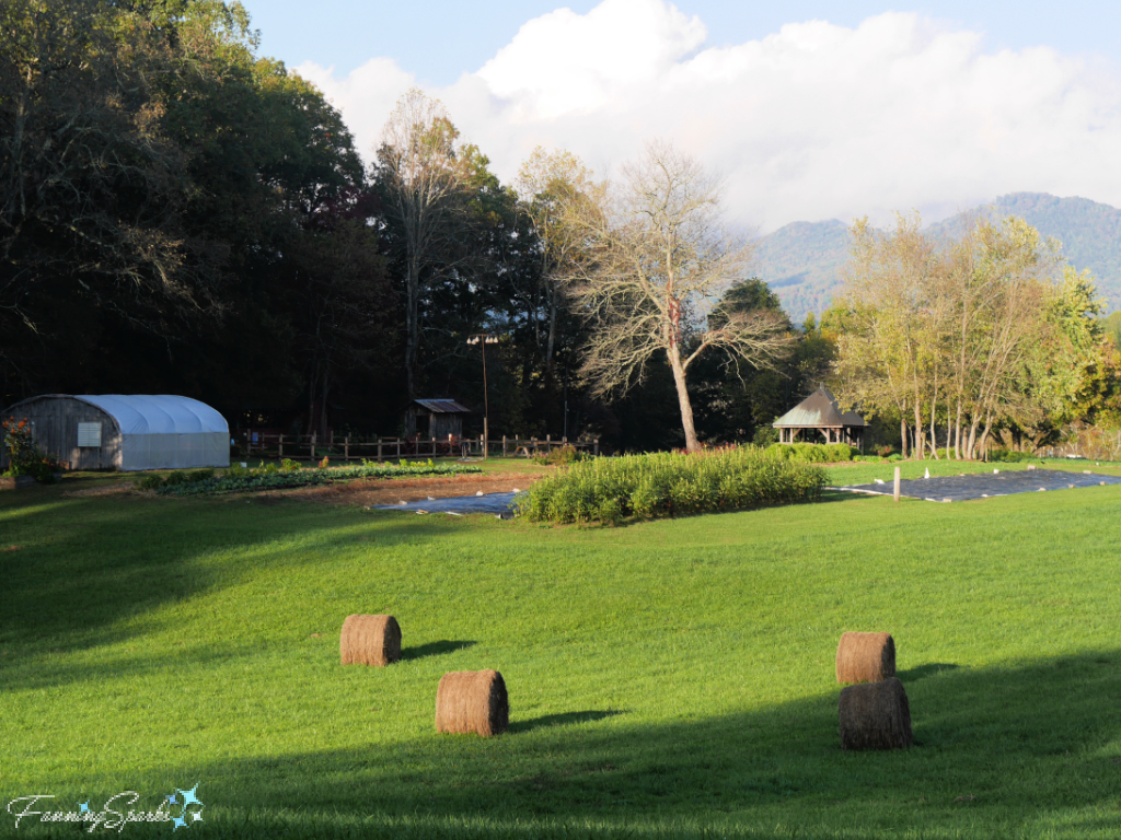 The Gardens in Afternoon Light at the John C Campbell Folk School   @FanningSparks