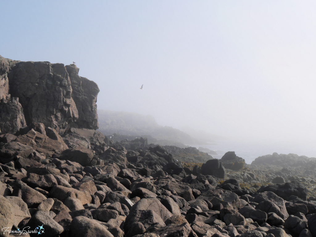 Foggy Coastline of Brier Island, Nova Scotia   @FanningSparks