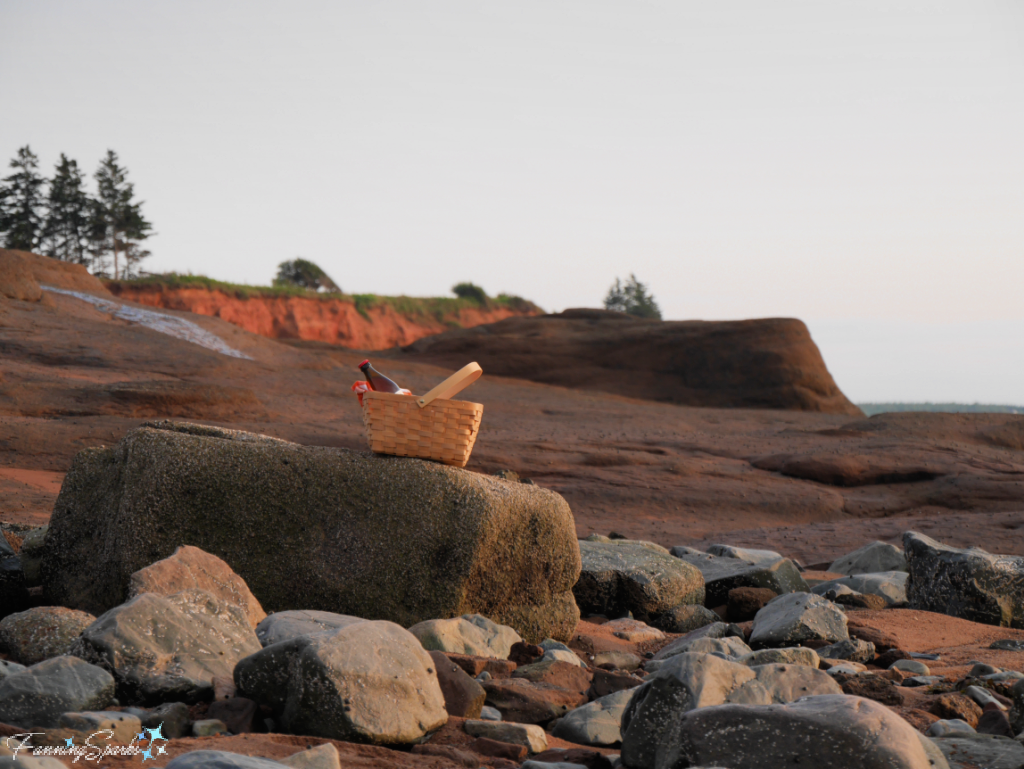 Picnic at Burntcoat Head, Nova Scotia    @FanningSparks