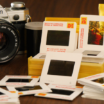 Top 21 Photos from 2021 @FanningSparks