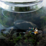 Holding Miniature Garden in Closed Terrarium @FanningSparks