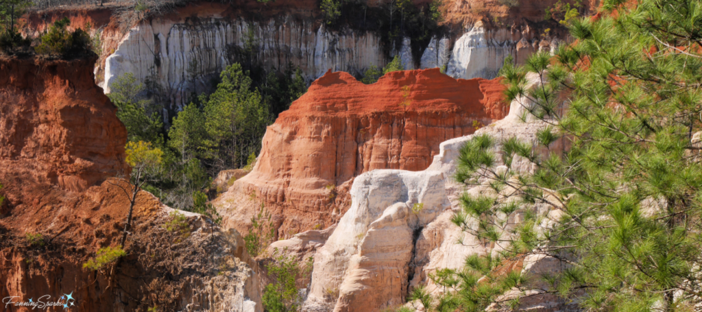 Providence Canyon View from Rim - Providence Canyon @FanningSparks