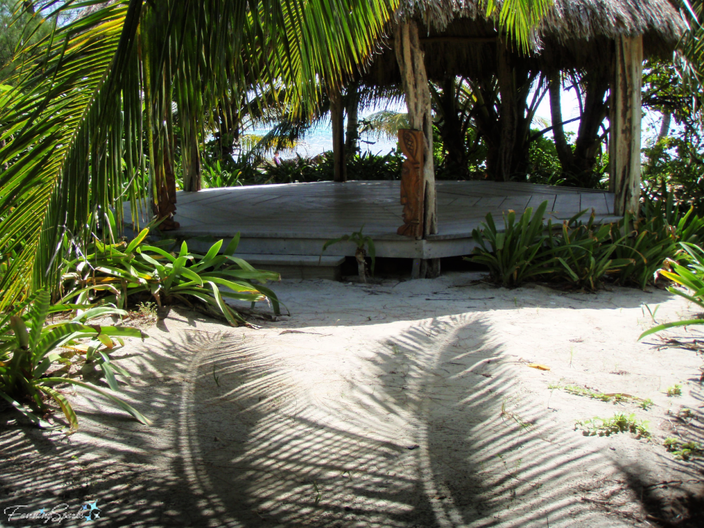 Shadows of Palm Fronds in Belize Sunlight   @FanningSparks 