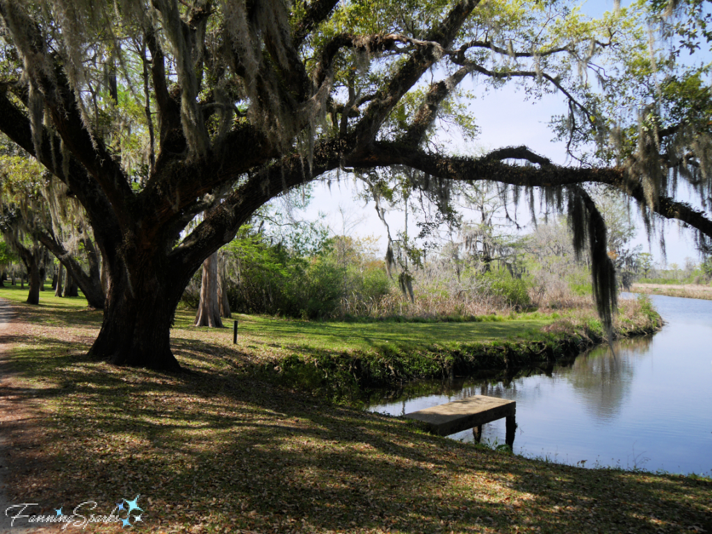 Lowcountry Scene at Brookgreen Gardens   @FanningSparks