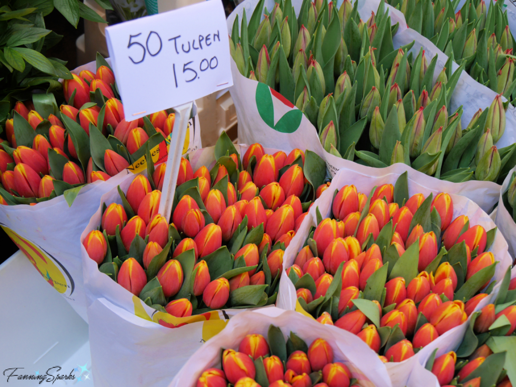 Tulips for Sale - 50 Tulpen for 15 Euro   @FanningSparks