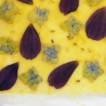 Embedding Botanicals in my Handmade Paper @FanningSparks