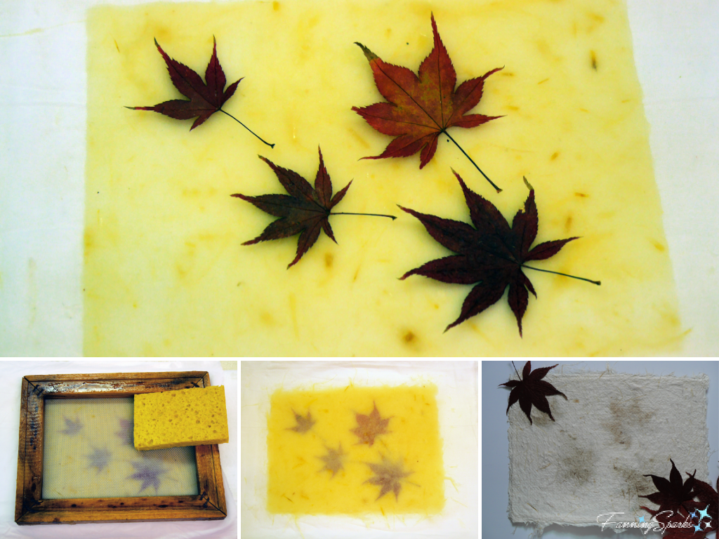 My Handmade Paper with Embedded Maple Leaves   @FanningSparks