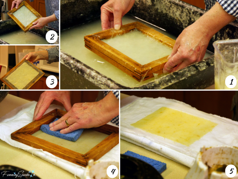 From Tulip Paper to Natural Fiber Papermaking FanningSparks