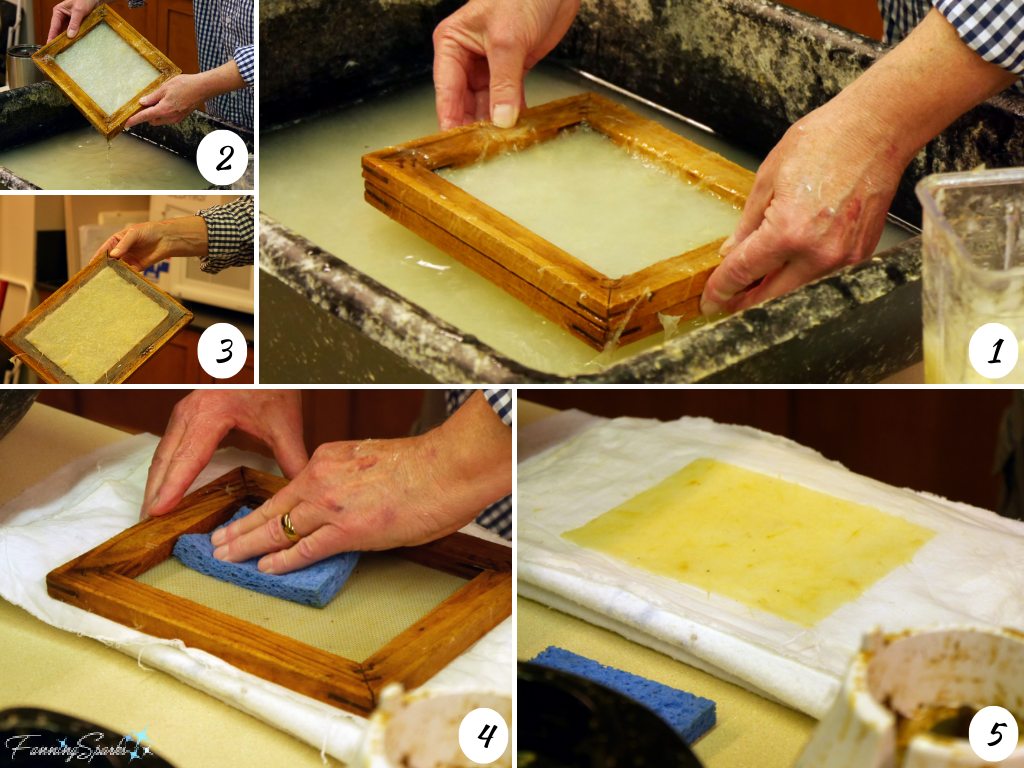 From Tulip Paper to Natural Fiber Papermaking – FanningSparks