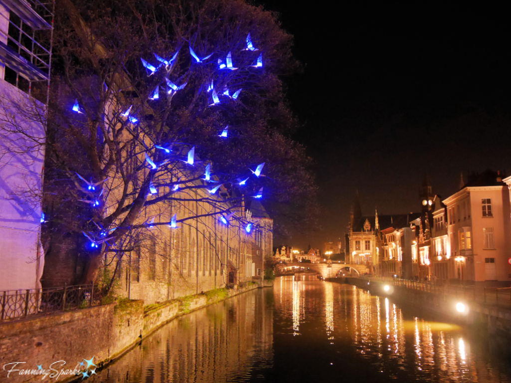 The Birds of Mr Maeterlinck Art Installation at Night in Ghent   @FanningSparks