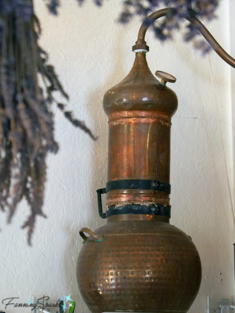 Copper Still for Distilling Essential Lavender Oil   @FanningSparks